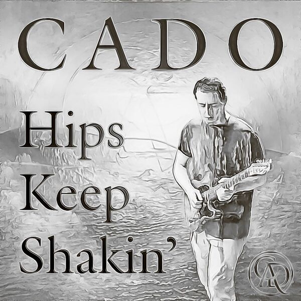 Cover art for Hips Keep Shakin'